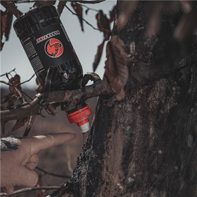 Blackfire Original - Image 2